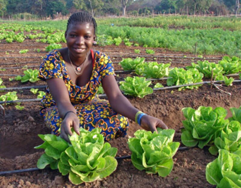 articles/2010/09/23/clinton-global-initiative-leticia-brenyahs-inspiring-story/streib-cgi-tools_129003_ftnqxg