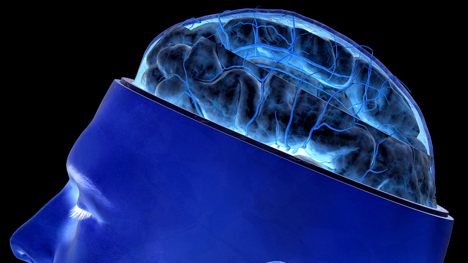 cheats/2011/09/03/scientists-target-peer-pressure-trigger/brain-illustration-cheat_sbsrdj