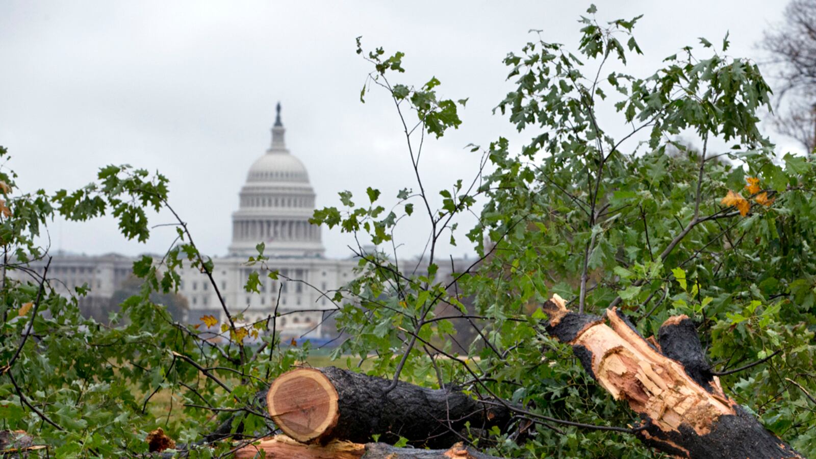 articles/2012/10/30/how-many-more-near-election-disasters-before-congress-wakes-up/congress-wake-up-hasen_slvanw