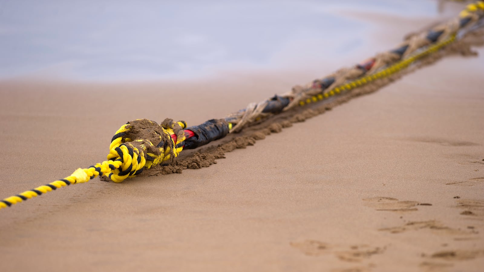 GettyImages-695501064_mwunsn