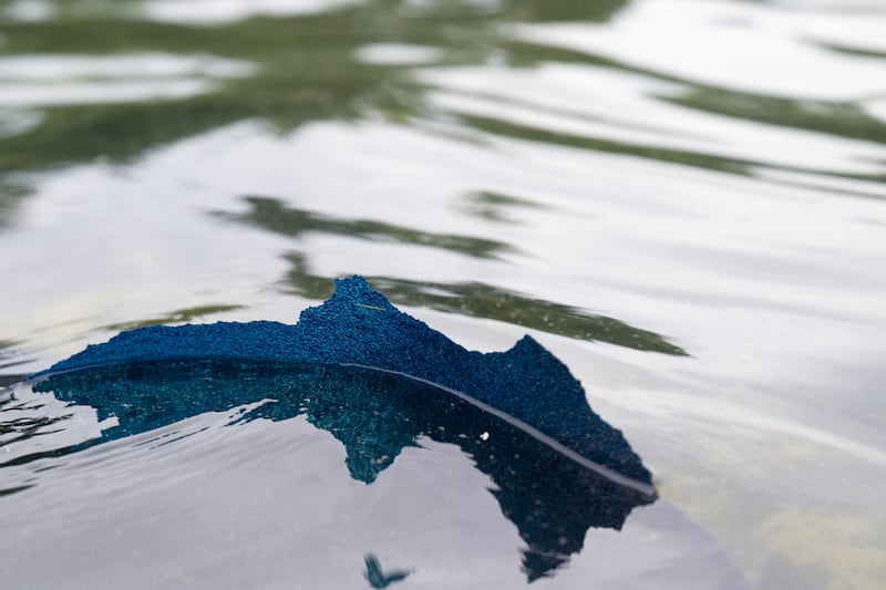 Paint peels from the bottom of the Lincoln Memorial Reflecting Pool after recent renovations following a directive from U.S. President Donald Trump to paint it blue ahead of the 250th anniversary of U.S. Independence, in Washington, D.C., U.S., June 18, 2026. REUTERS/Annabelle Gordon