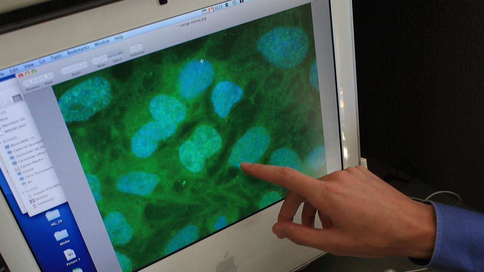 cheats/2013/05/16/scientists-make-embryonic-cell-from-skin/130516-stem-cell-reseaerch-cheat_sxqqje