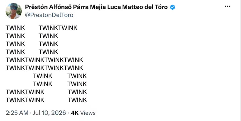 Swaswitka made of the word 'twink.'