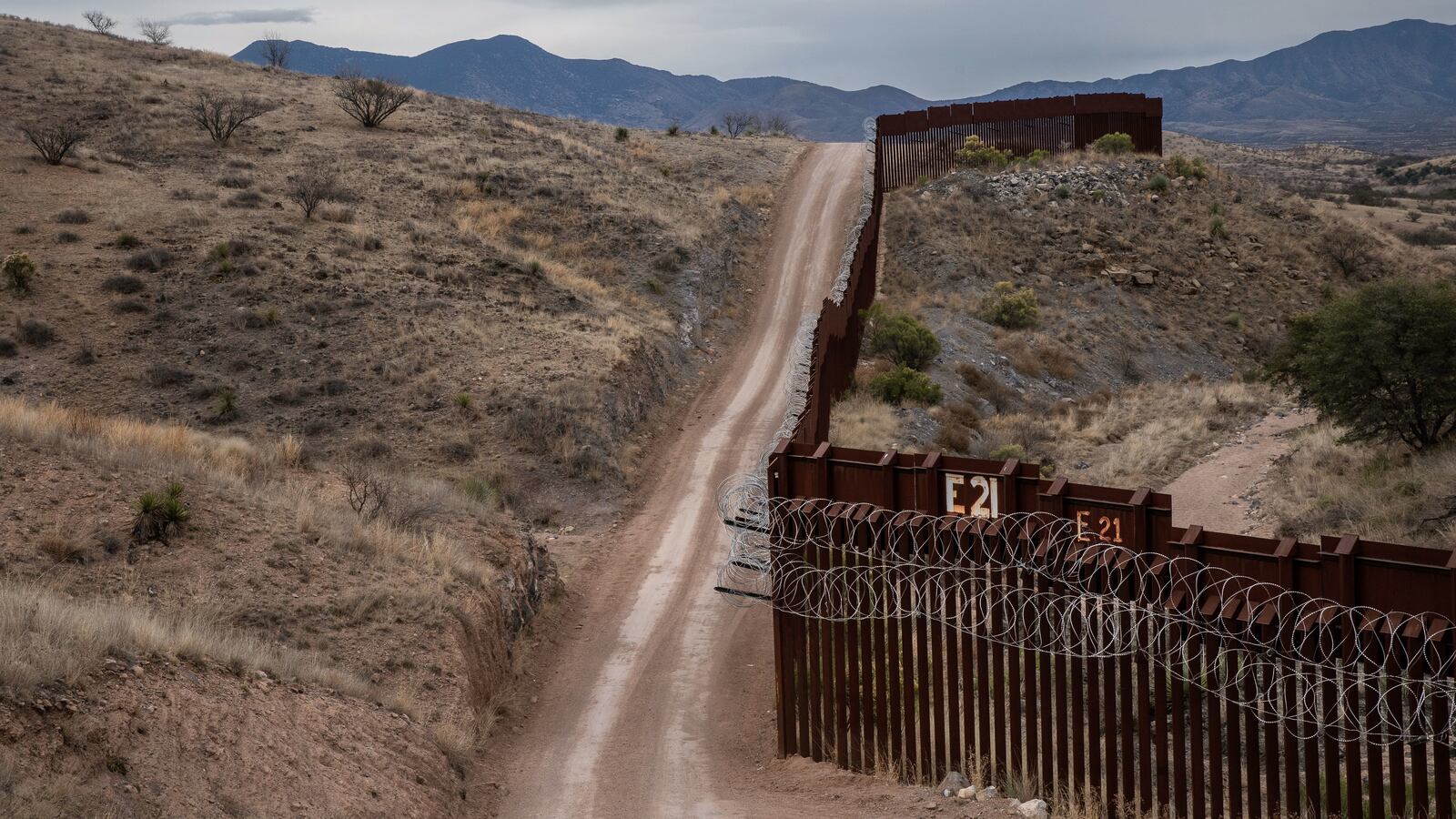 GettyImages-1096832012_cx3nsv