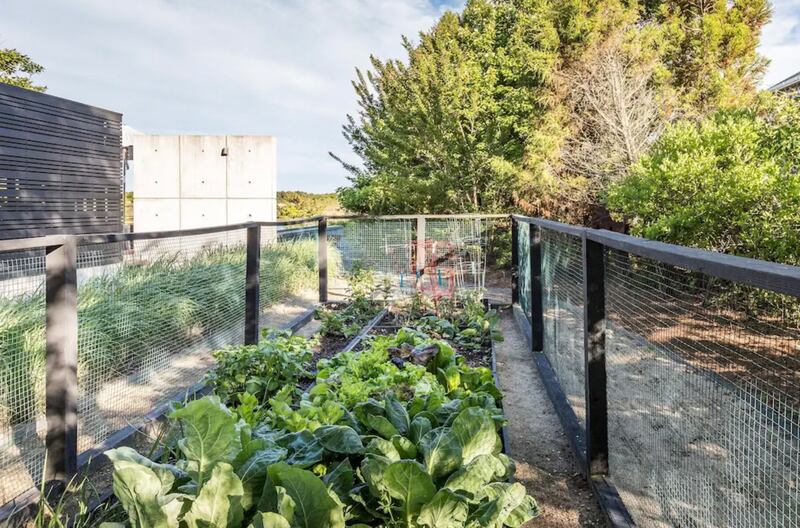 210628_OMG_hamptons-14_copy_ejvryk