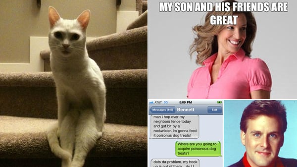galleries/2011/12/03/cat-sitting-on-staircase-texts-from-bennett-and-other-memes-photos/week-in-memes-tease_yxcyuu