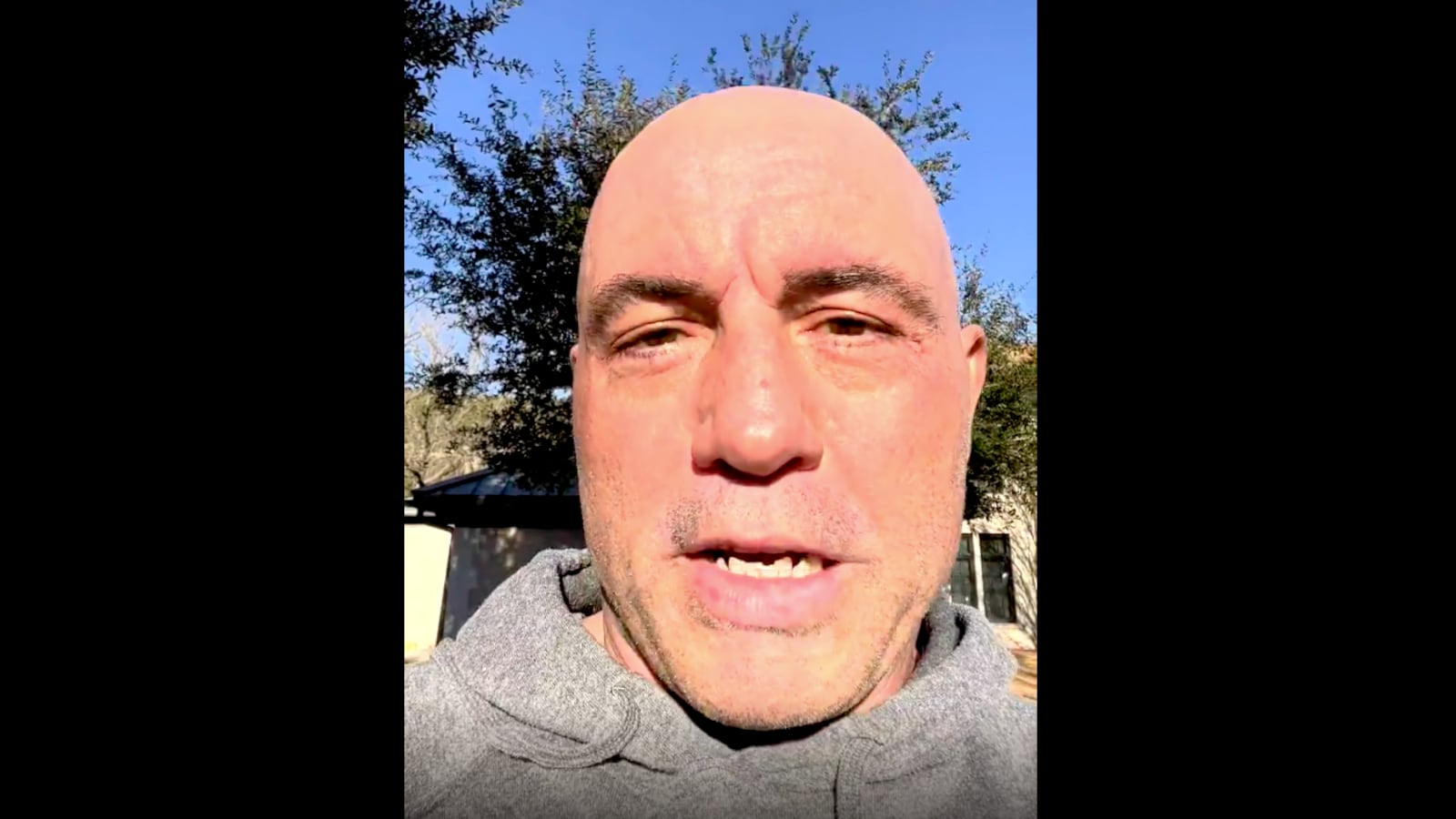 Screen_Shot_2022-01-31_at_09.21.19_fner3g