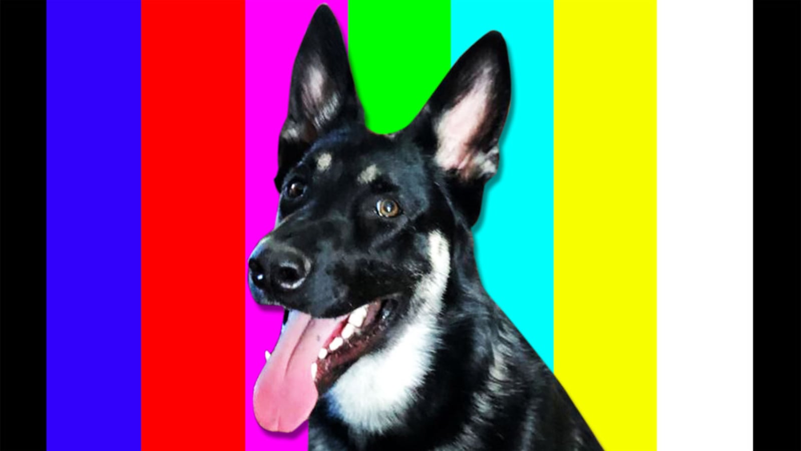 210322---TNA-NEW_ddxcni