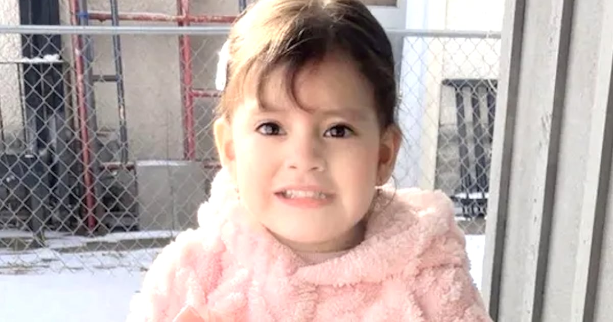 ICE Detention of 2-Year-Old Girl and Her Dad Sparks Outrage