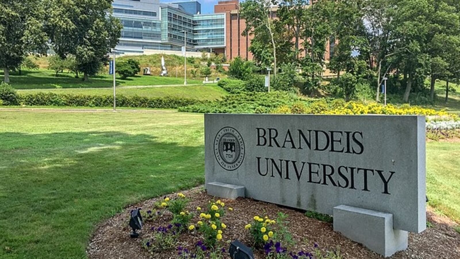 A sign at Brandeis University.