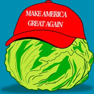 Maga lettuce illustration