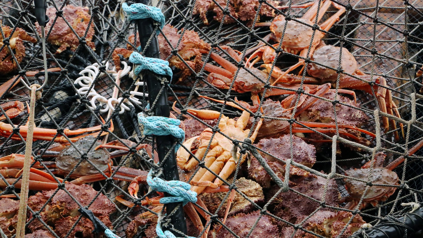 GettyImages-870219584_zosxf9