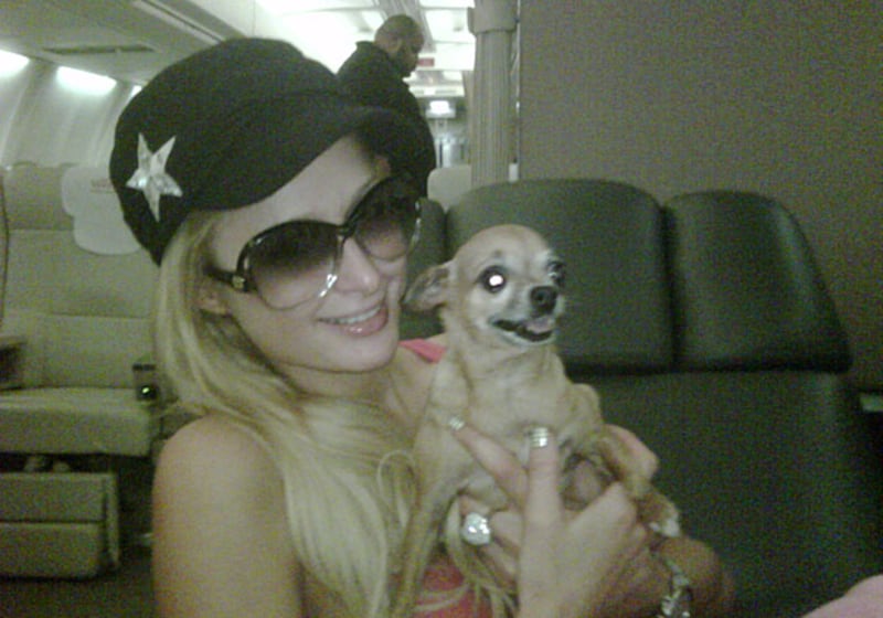 galleries/2010/06/30/best-celebrity-twit-pics/twitpi630---hilton_mrrzff