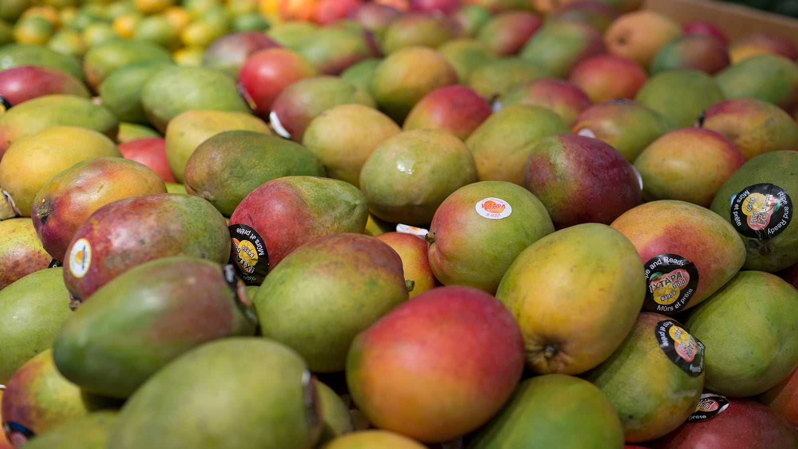 Mangos.