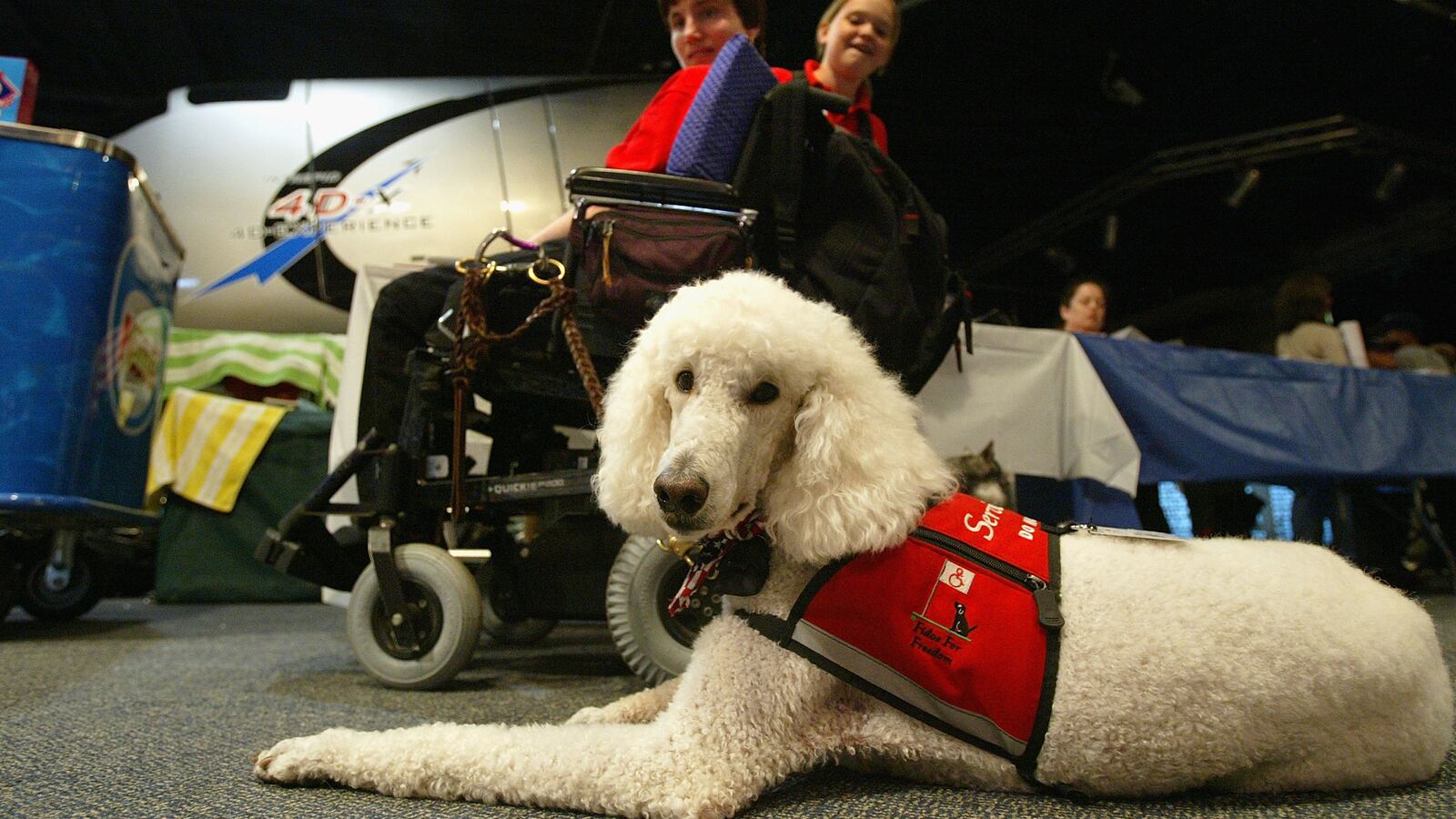 GettyImages-51321443_d36dhg