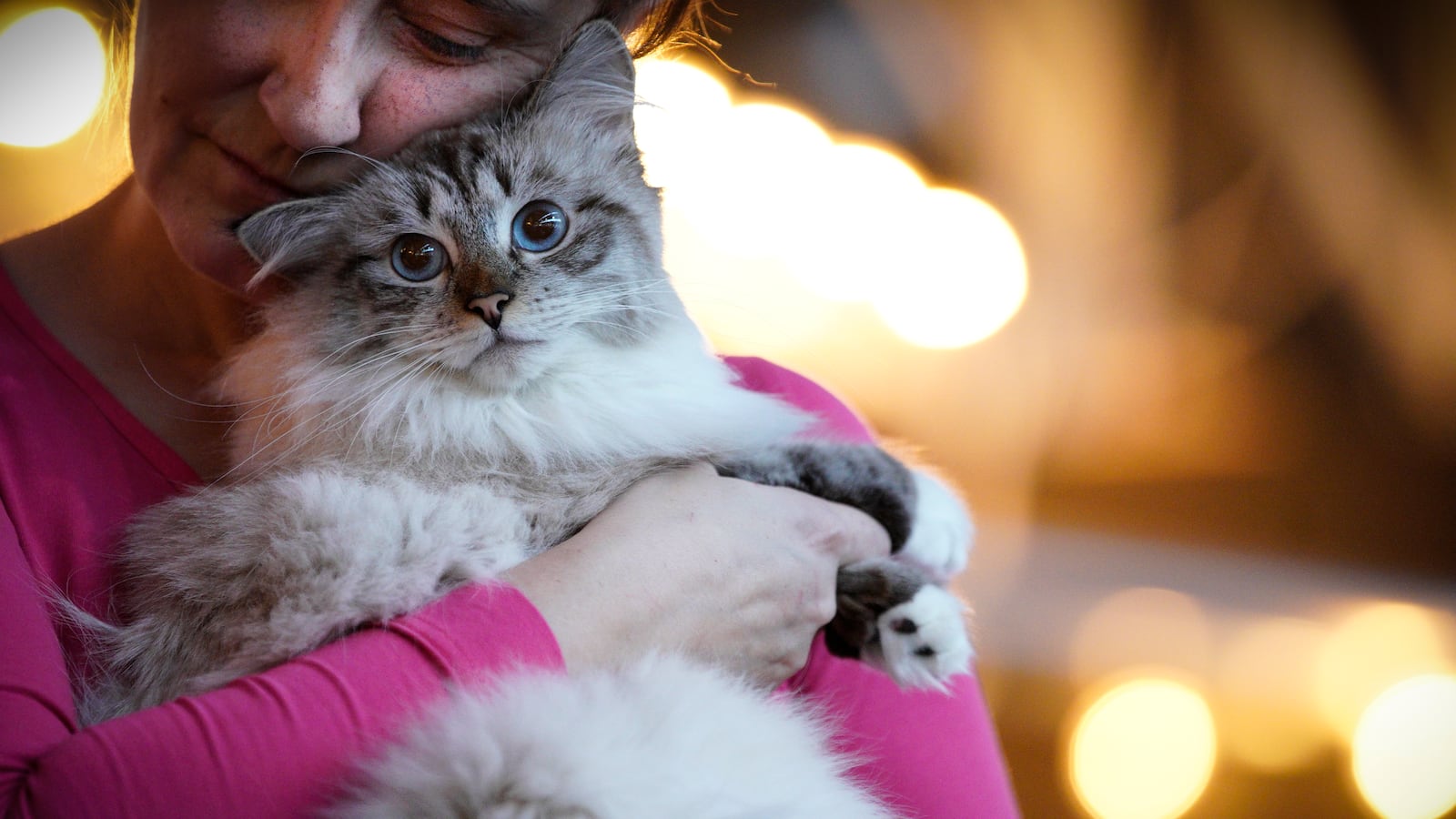 GettyImages-1125849650_numaxp