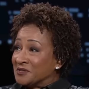 wanda sykes