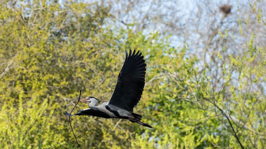 GettyImages-1134211831_re6fvu