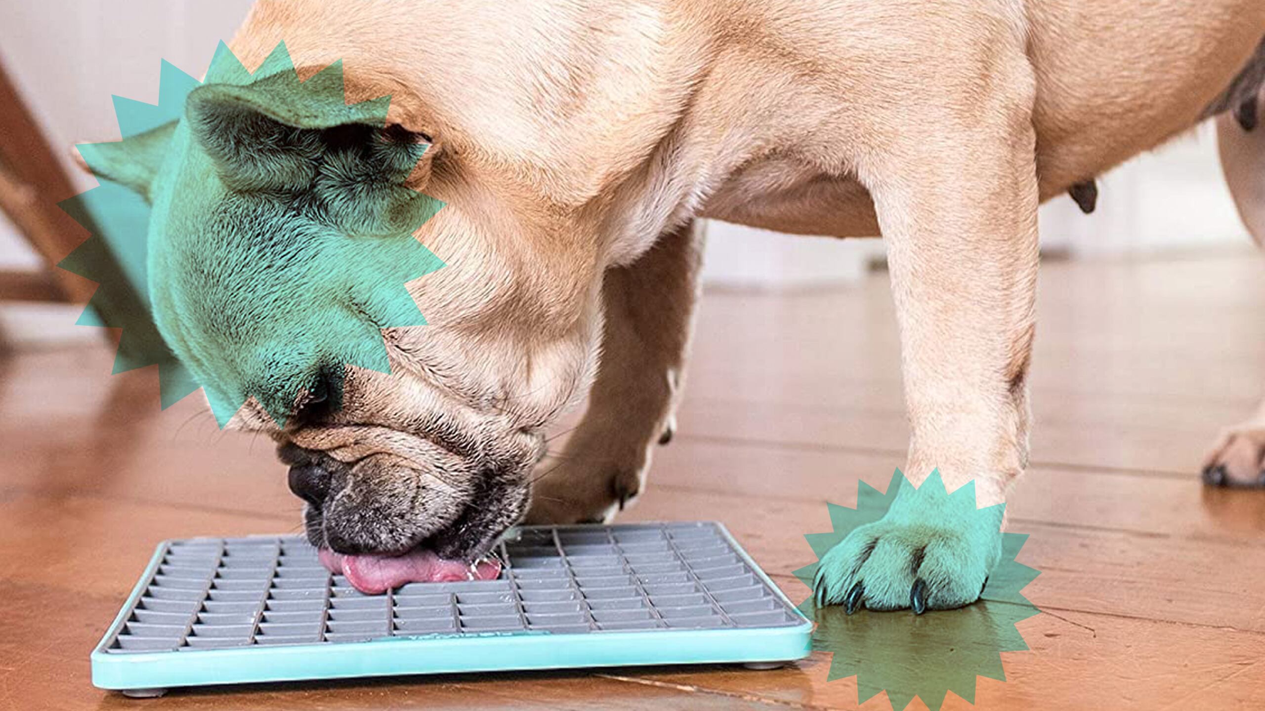 Lickimat Dog Toy Is Perfect for Working From Home