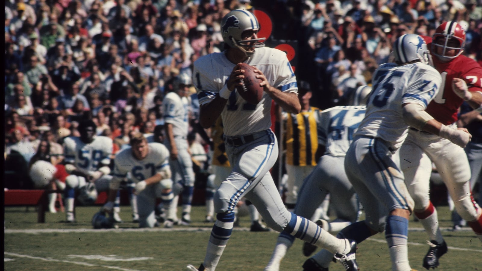 Quarterback Greg Landry #11 of the Detroit Lions drops back to pass against the Atlanta Falcons at Fulton-County Stadium on October 8, 1972 in Atlanta, Georgia.