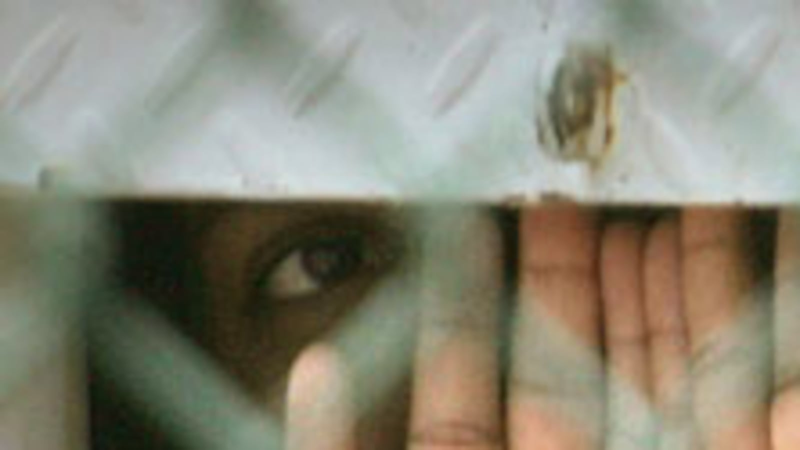 articles/2008/10/14/did-pbs-bury-a-frontline-episode-on-torture/horton-torture_1120_bu9kmh