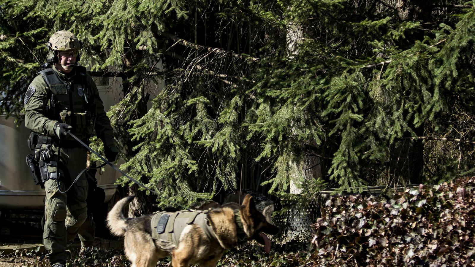 cheats/2015/06/11/police-dogs-narrow-down-escapees-route/150611-manhunt-dog-cheat_j3qnbk