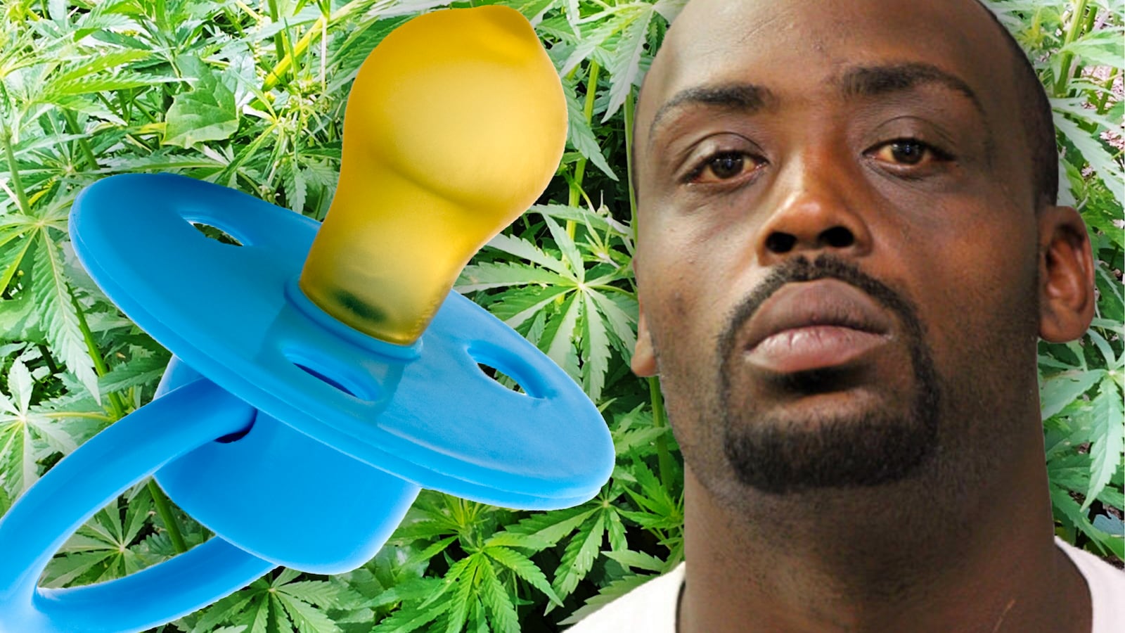 170815-briquelet-pot-daycare-hitler-tease_g5awzw