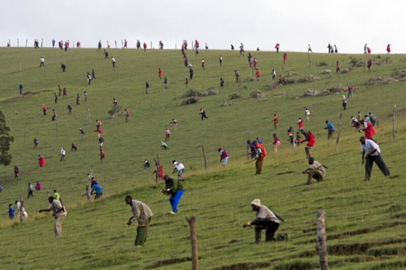 galleries/2009/04/23/photo-awards/photo-awards---chiba_vlkd2n
