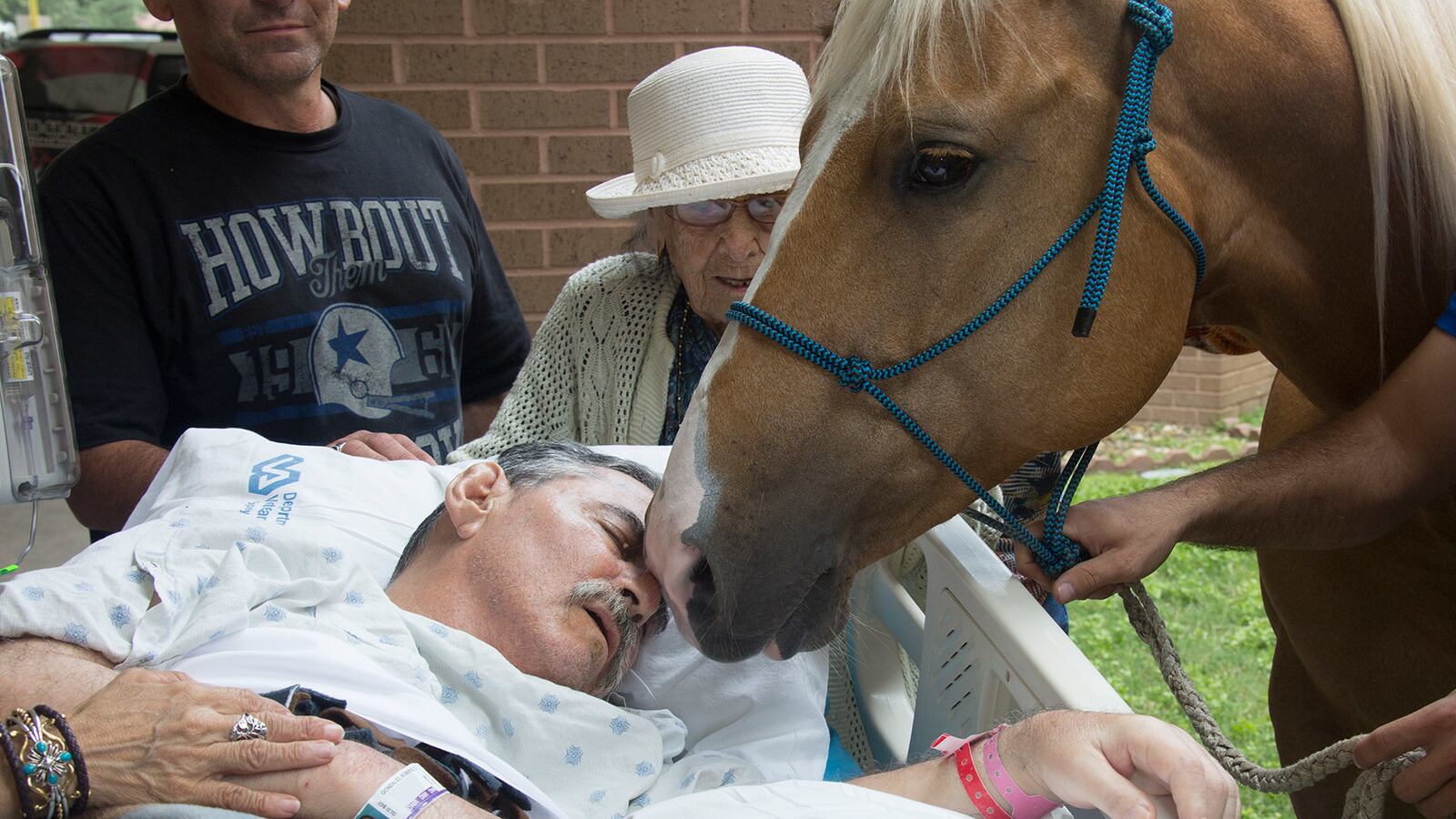 articles/2016/05/23/watch-vietnam-veteran-s-horses-kiss-him-goodbye/160523-messer-veteran-horse-tease_gc6rvy