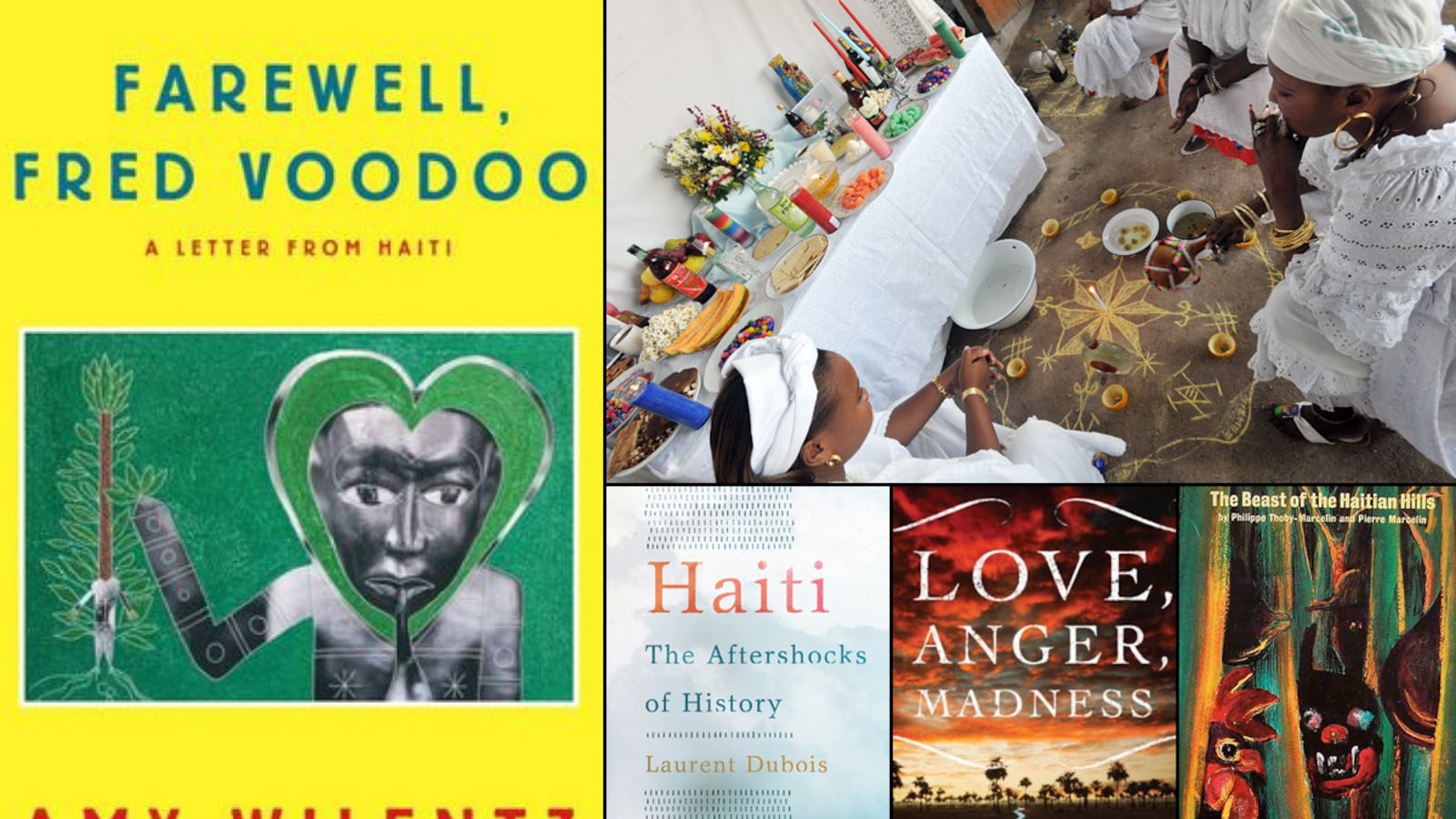 articles/2013/01/08/amy-wilentz-s-haiti-book-bag/haiti-book-bag-wilentz-tease_mya7rp