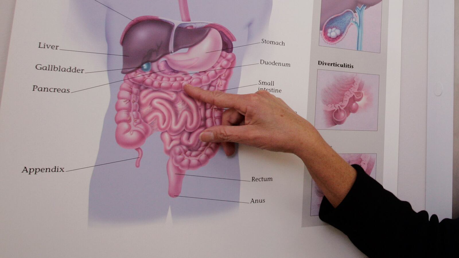 cheats/2013/03/28/bacteria-in-gut-linked-to-weight-loss/130328-gastric-cheat.jpg_ajj9dq