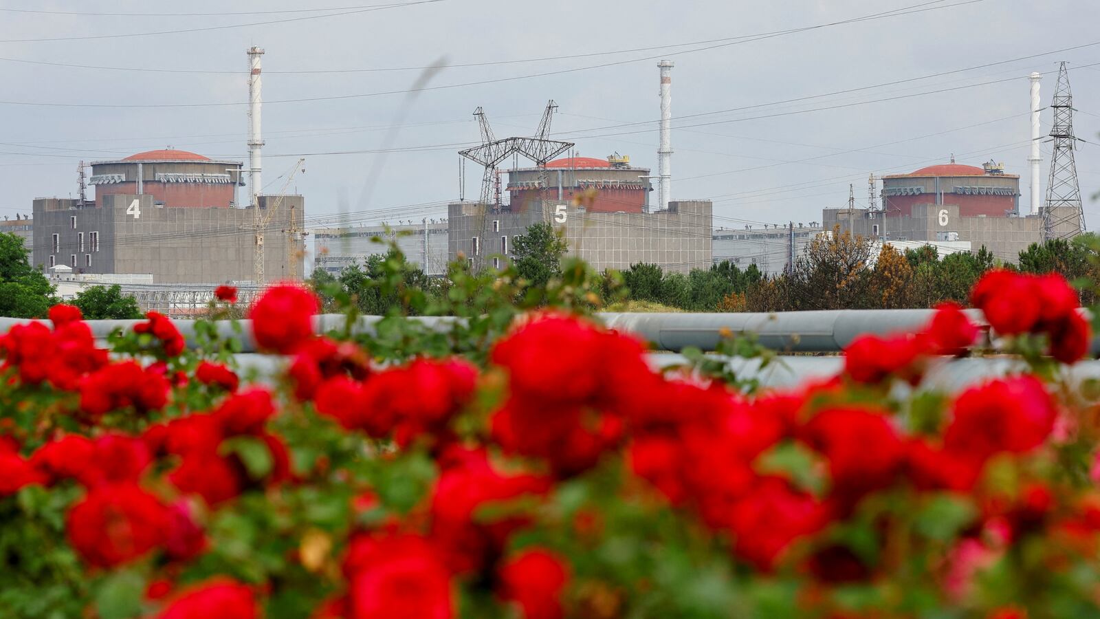 Zaporizhzhia Nuclear Power Plant.