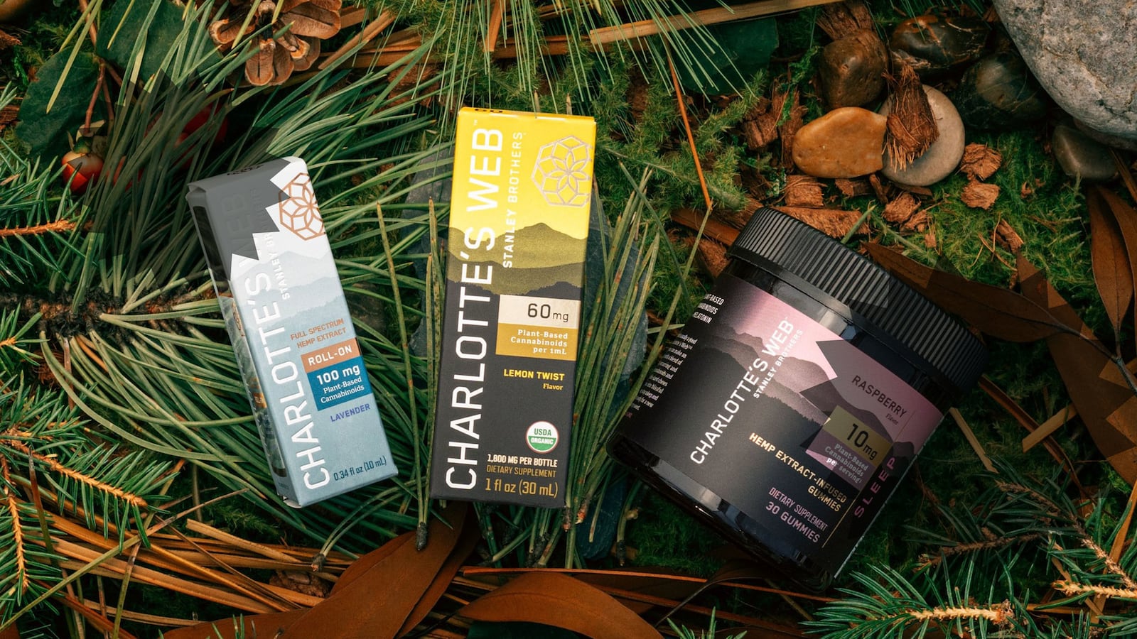 Charlotte's web CBD review 2022