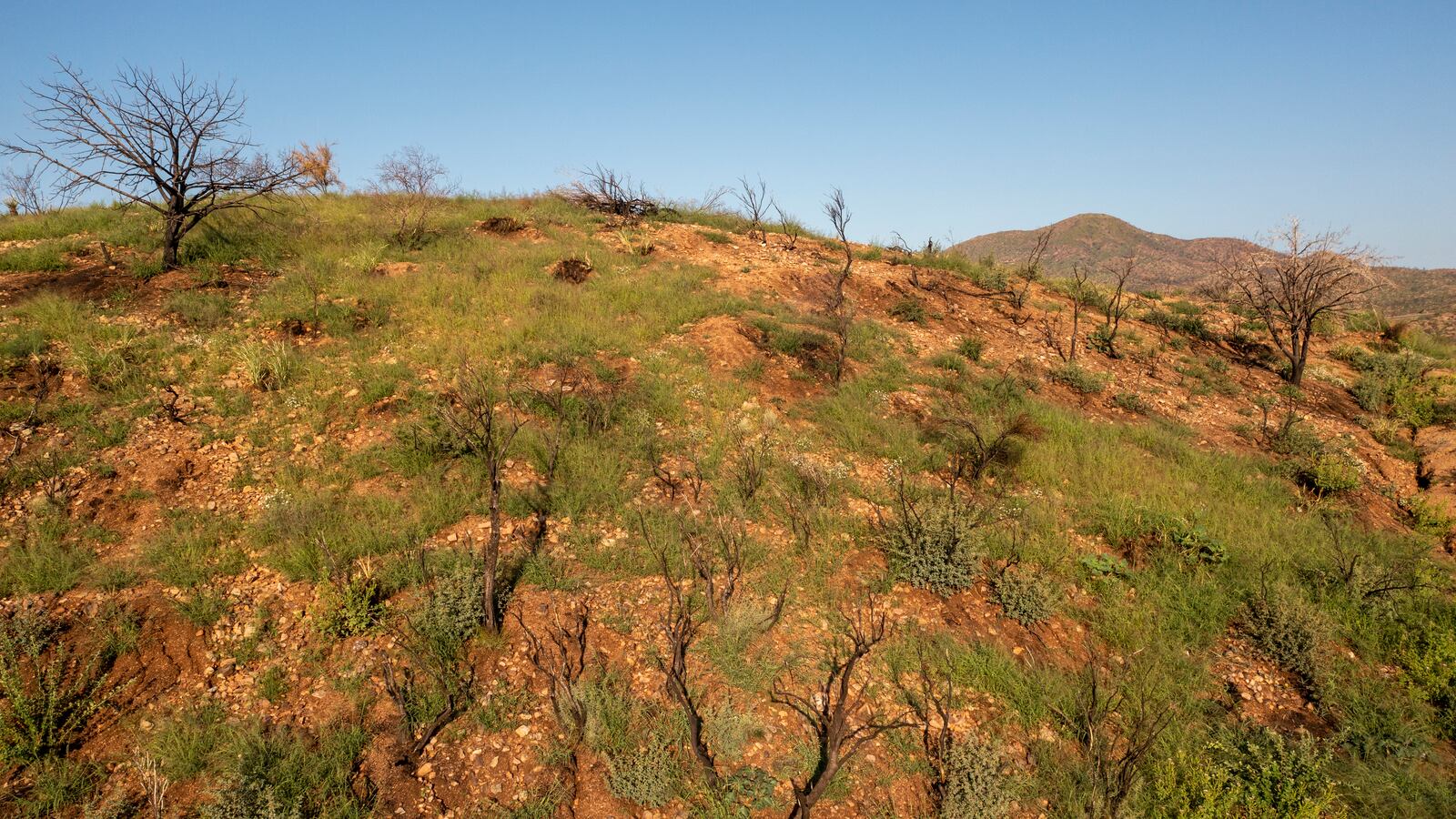 arizona_desert_ftvtmt