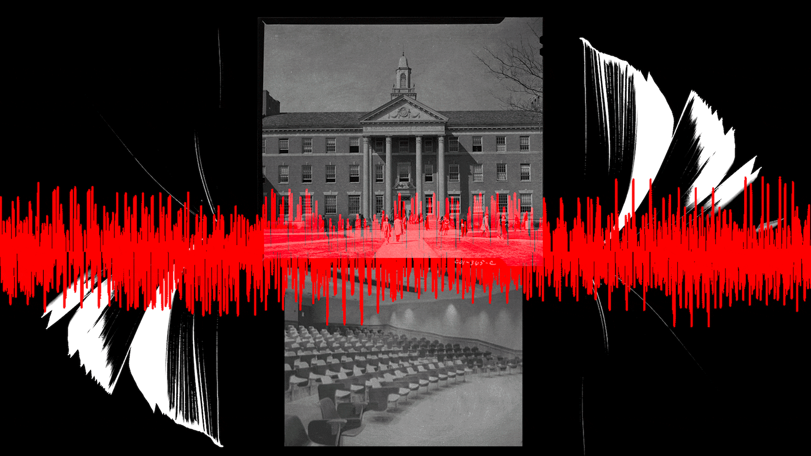 230218-mccoy-tenured-professors-hero_gt2wtc