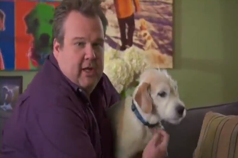 galleries/2013/02/01/ben-affleck-s-dog-and-more-celebrity-pets-with-famous-names-photos/eric-stonestreet-celeb-dog-names_zr2mic