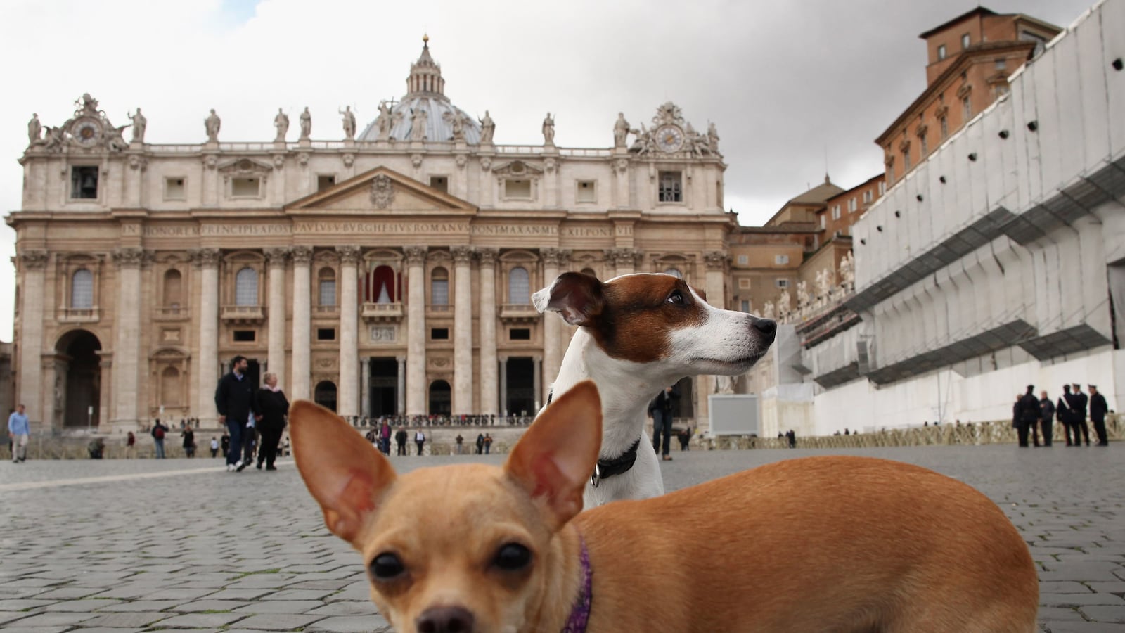 cheats/2014/06/02/pope-have-children-not-cats-or-dogs/140602-vatican-dogs-cheat_shlsge