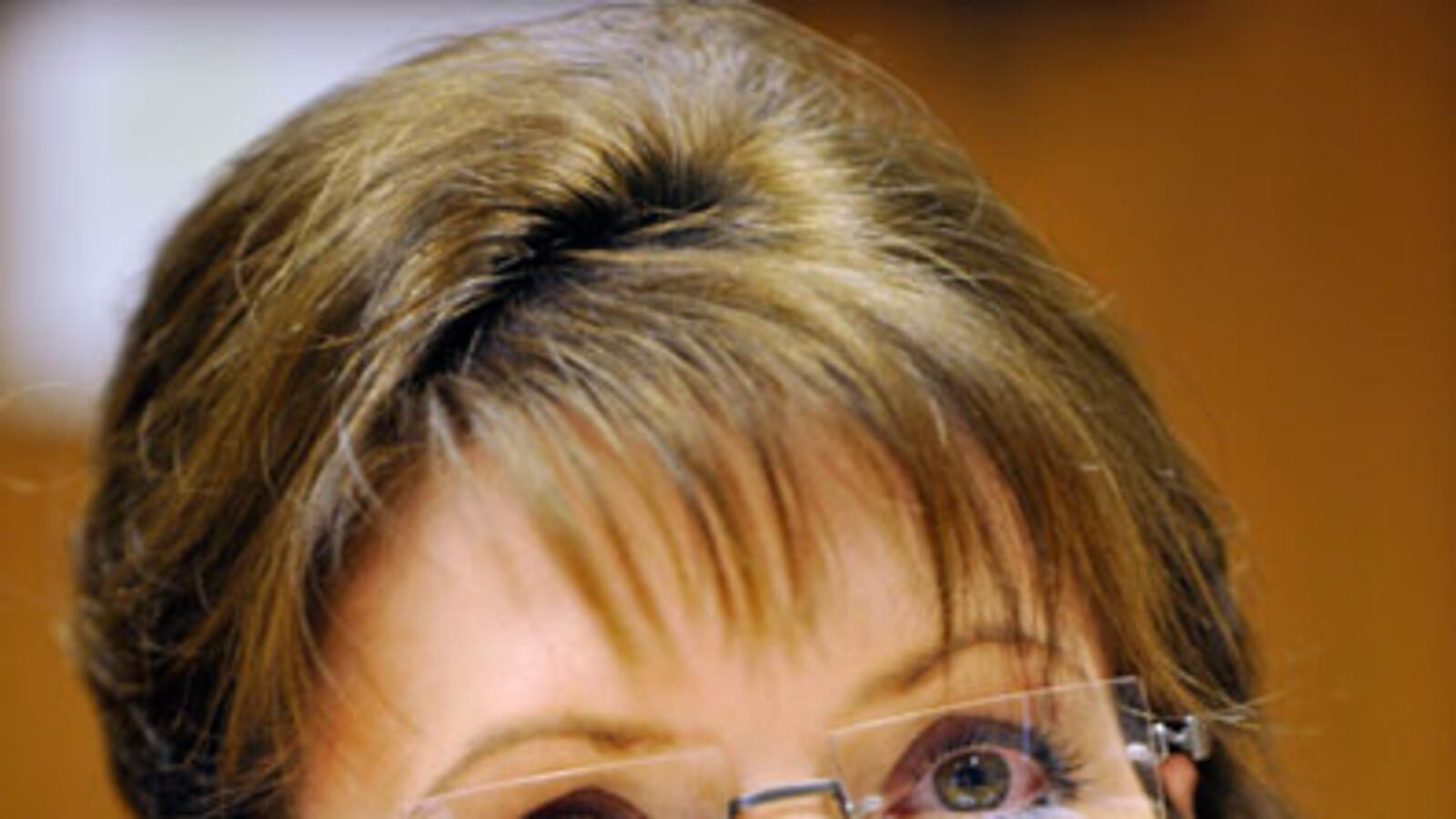 cheats/2009/11/06/sarah-palin-will-not-be-photographed/sarah-palin-12_sgoc4f