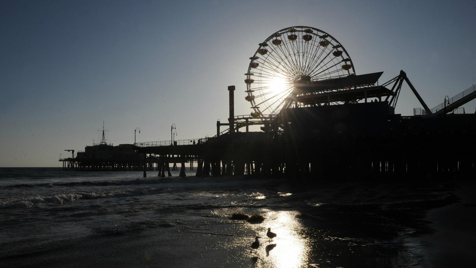 pier_uaeupy