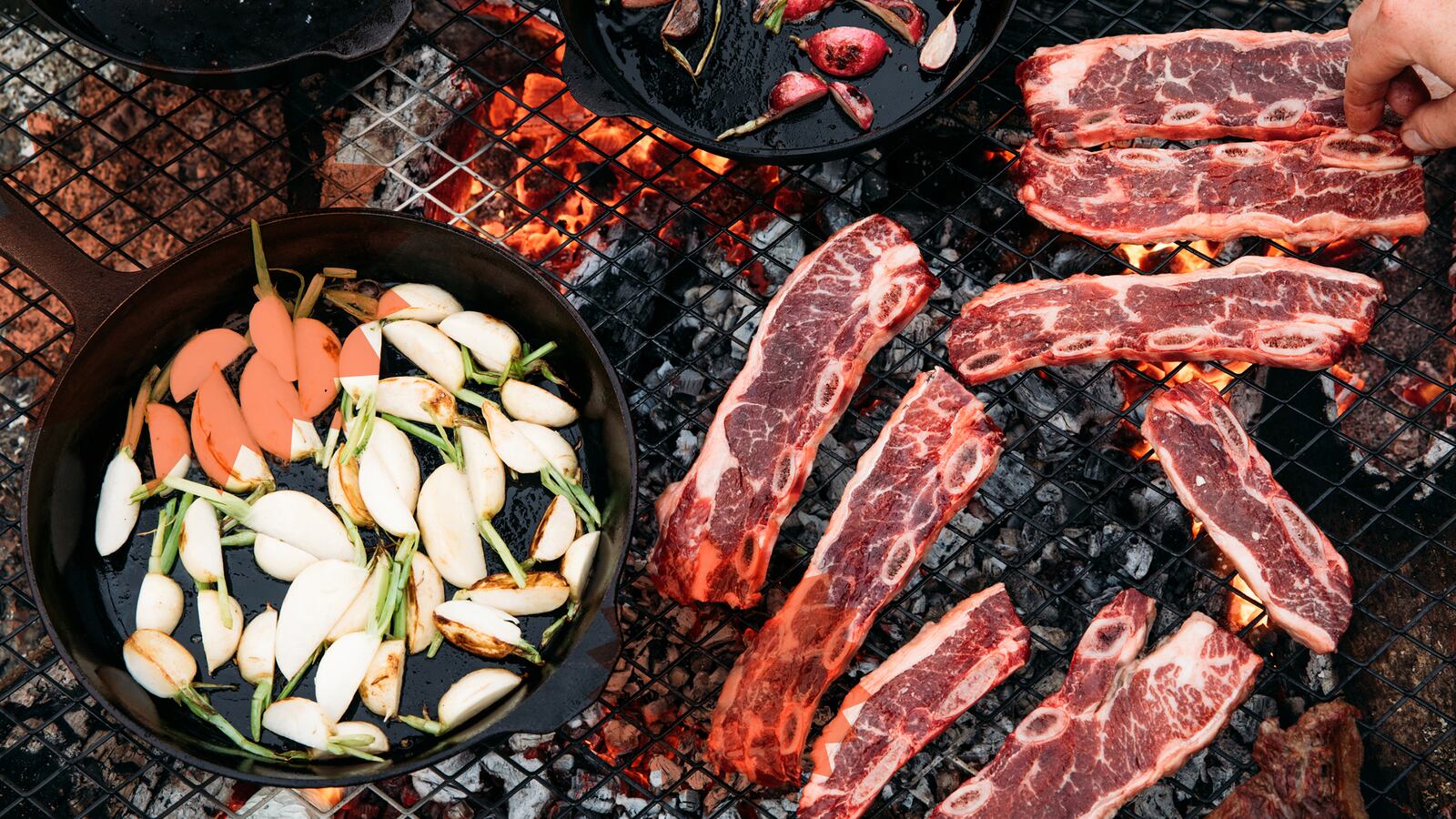 fieldcompanyhero_qiajed