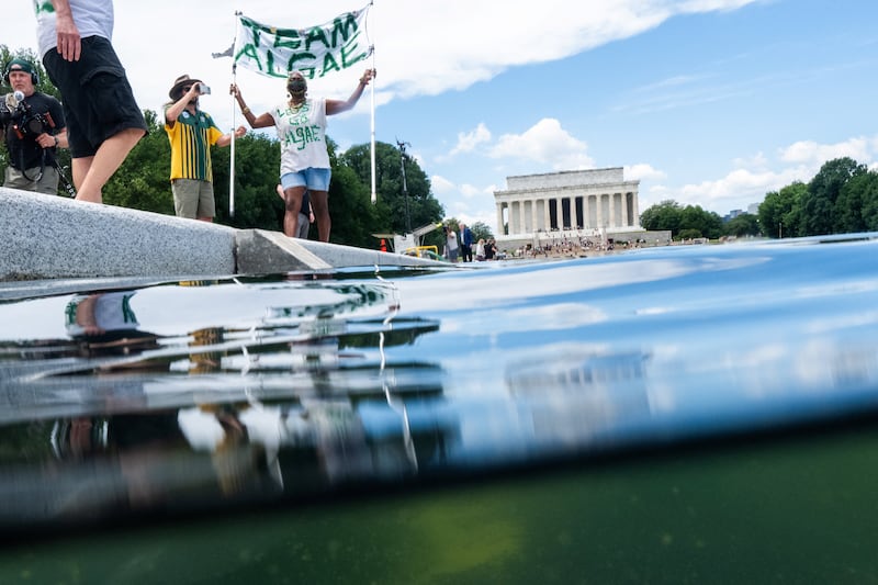 reflecting pool