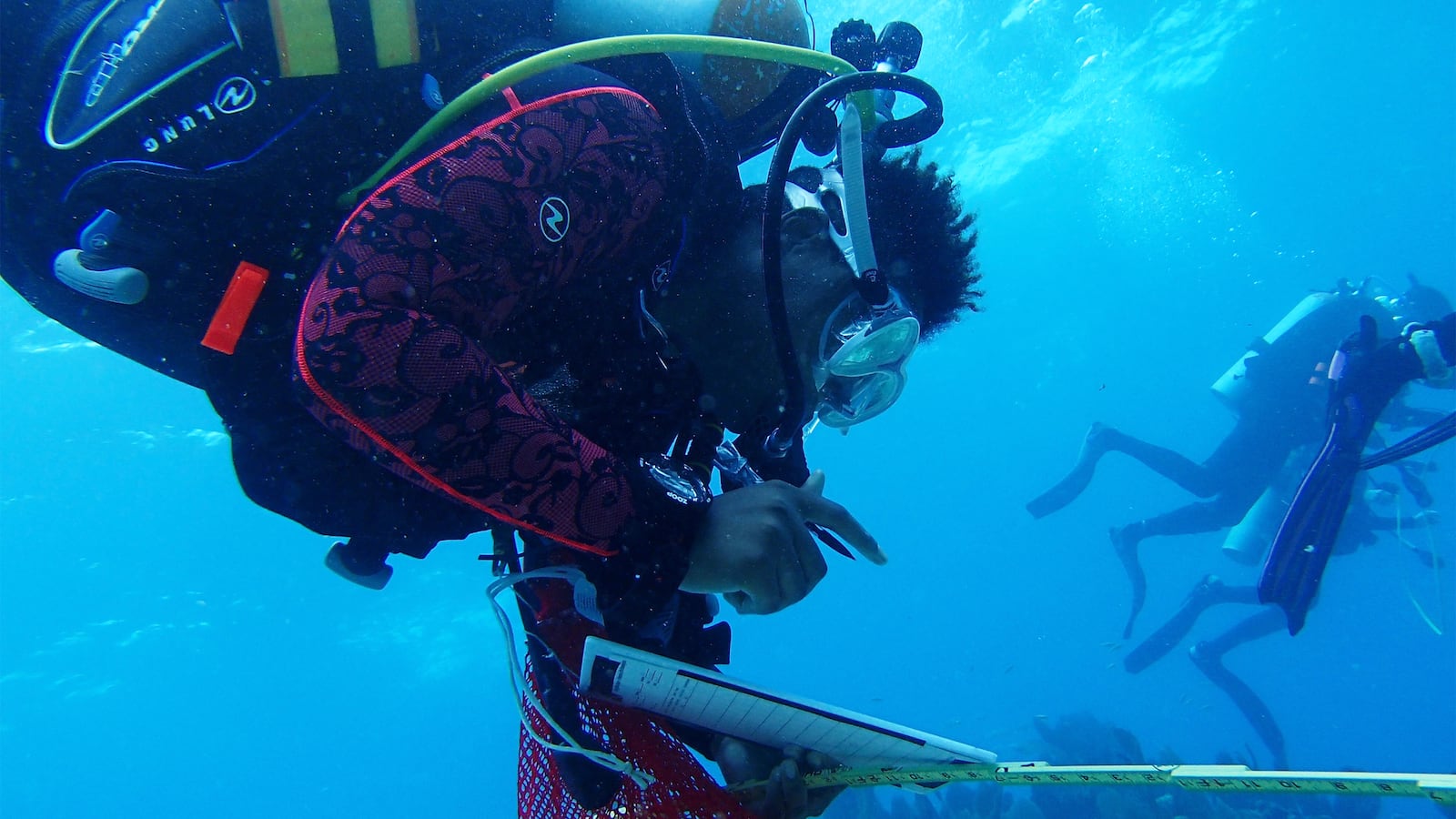 230212-nash-black-divers-tease_b3qskq