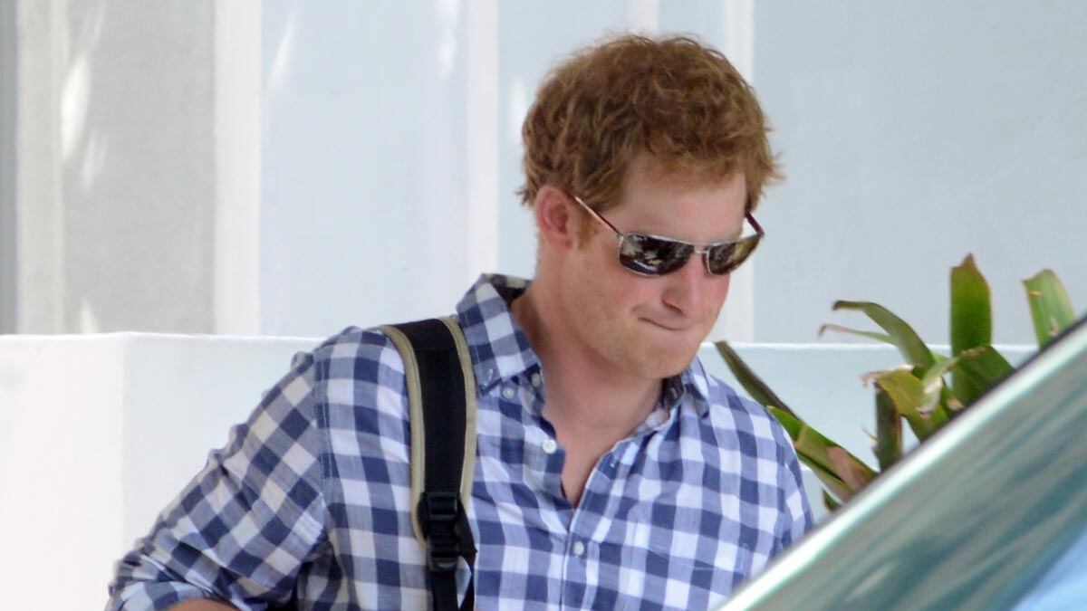 articles/2014/05/02/harry-causes-mayhem-in-memphis/harry-soho_ct7a3g