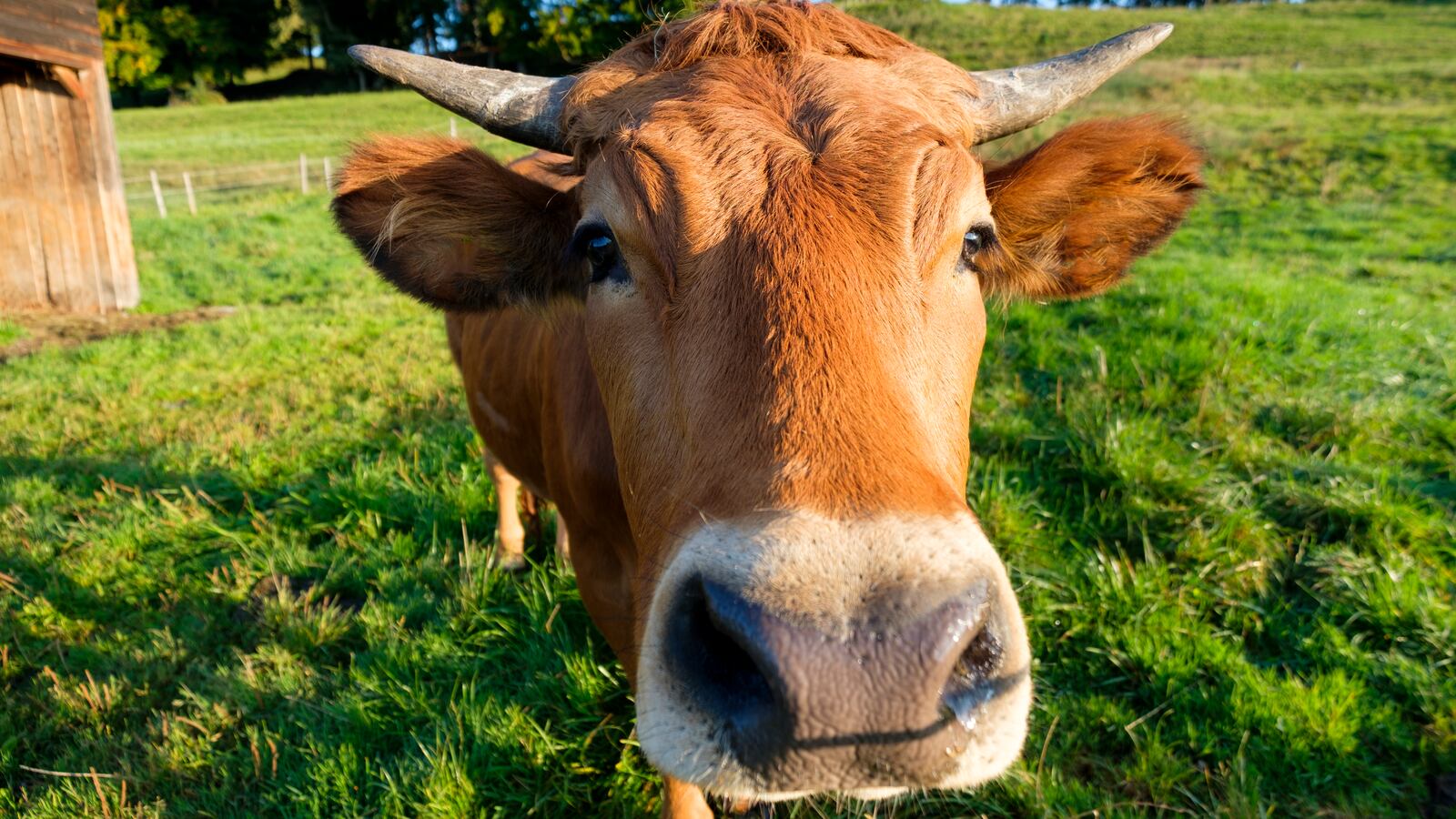 GettyImages-900246944_mvia9z