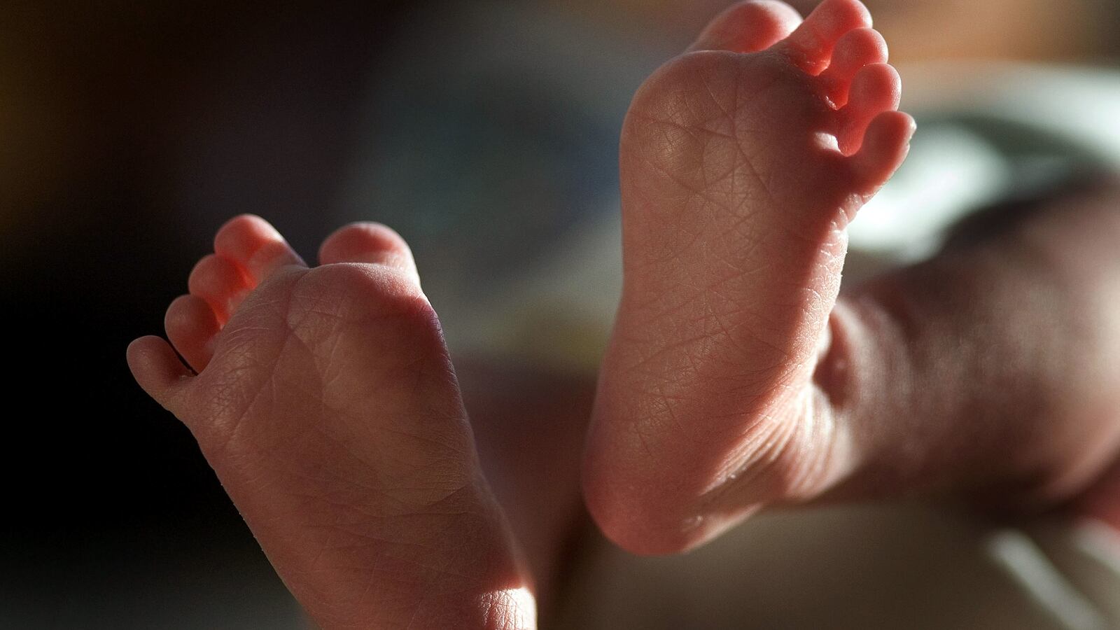 GettyImages-73781080_rjp5si