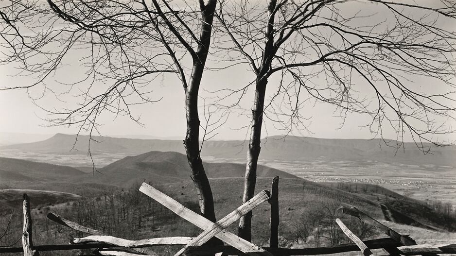 articles/2012/04/12/edward-weston-on-whitman-at-museum-of-fine-arts-boston-is-blake-gopnik-s-daily-pic/edward-weston-exhibition-museum-of-fine-arts-boston-02-shenandoah-valley_gazc4z