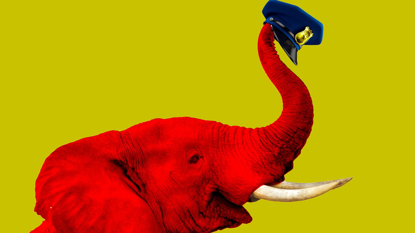 210706-schecter-cops-props-tease_aong44