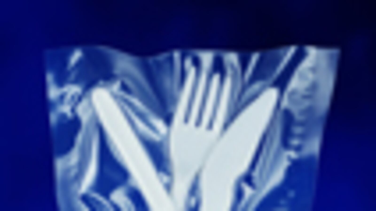 cheats/2011/03/16/congress-battles-over-plastic-cutlery/plastic-forks_bvmxs4
