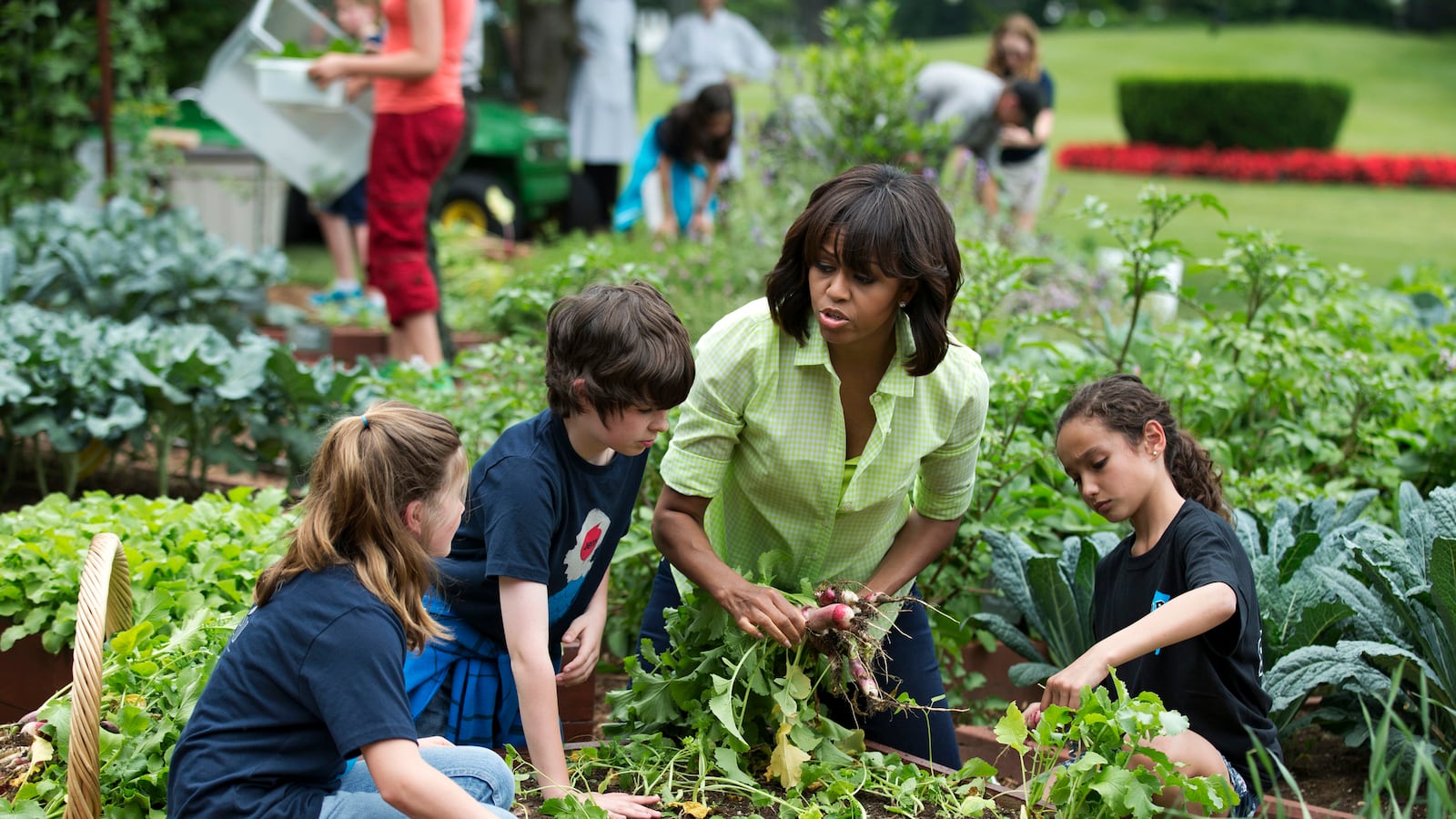 cheats/2013/07/21/michelle-obama-s-let-s-move-stalls/132107-lets-not-move-cheat_jhsgfb