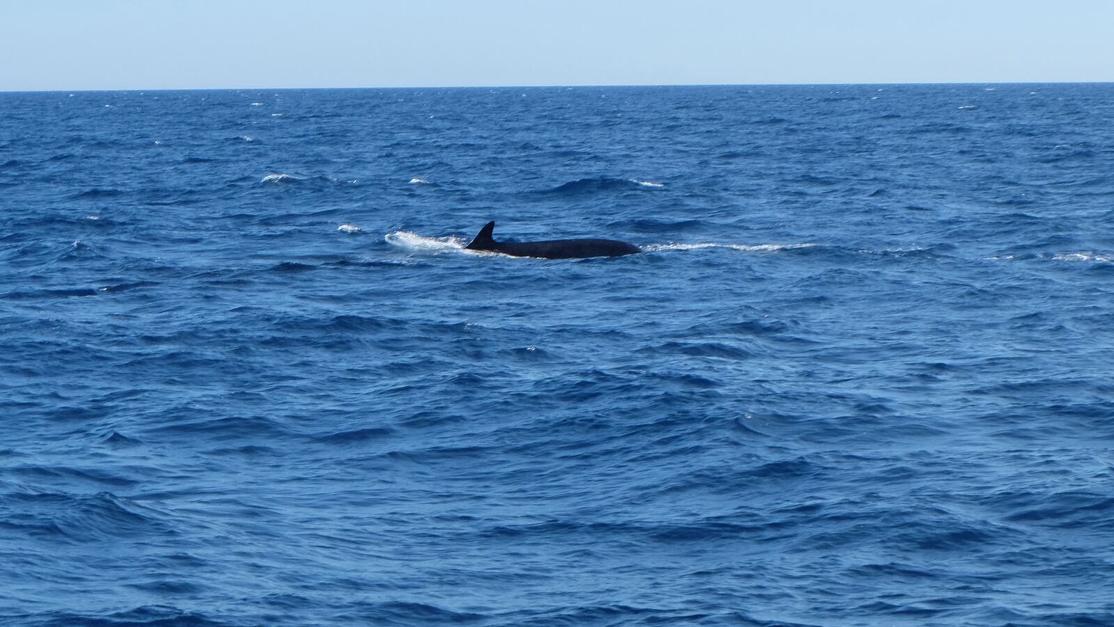 GettyImages-1148463390_ejk3lu